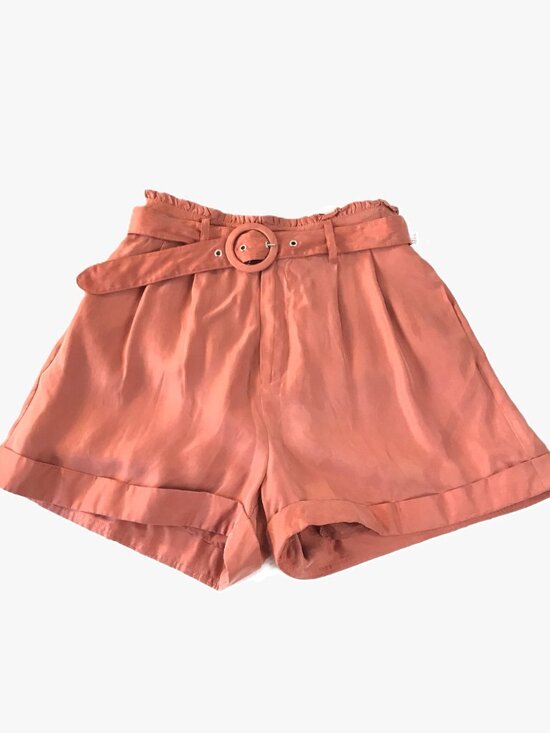Sadie & Sage Pants - Sadie & Sage – Terracotta Belted Shorts | High Waist Paper Bag | NWT Size Small